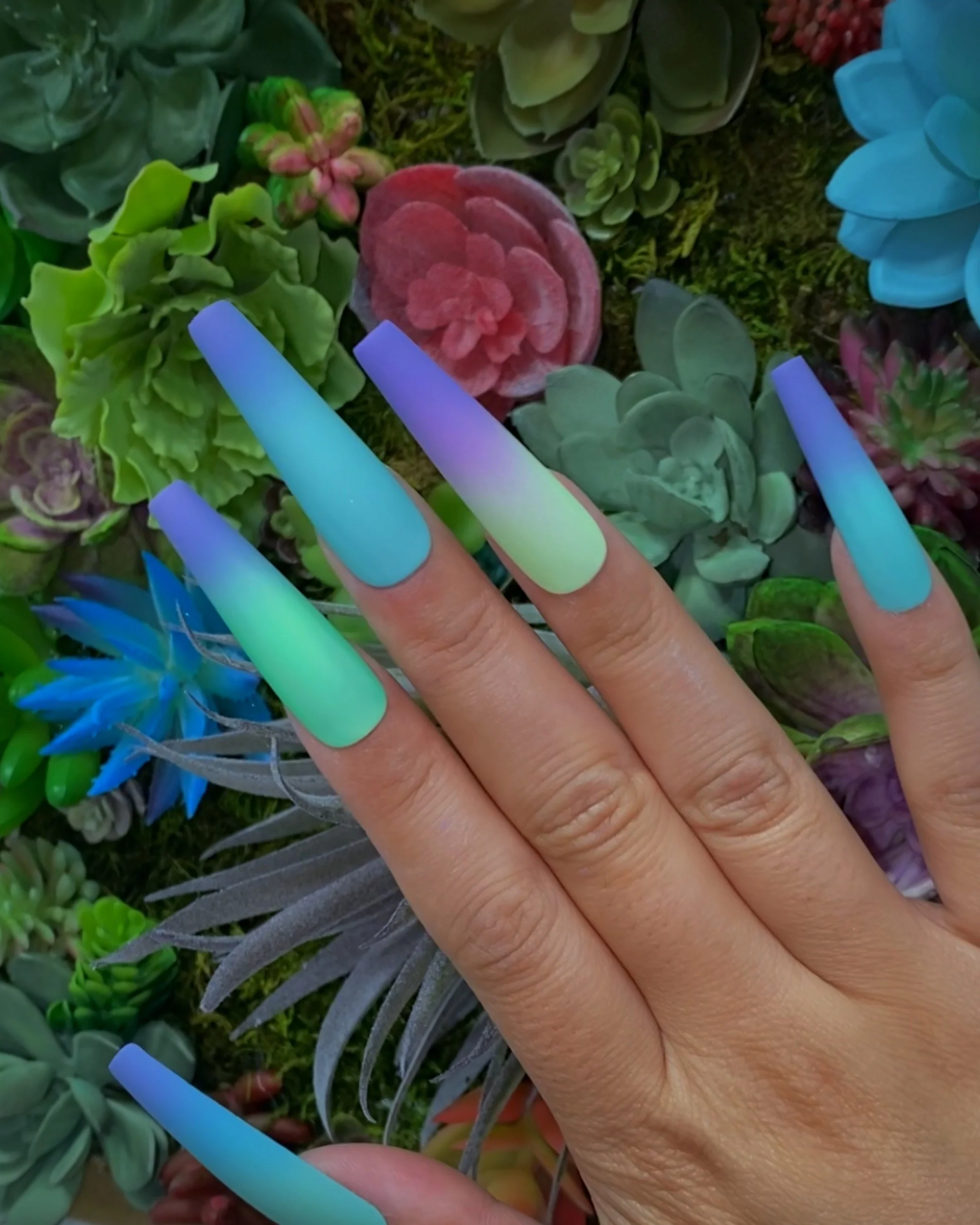 Succulent - Nail Gallerys