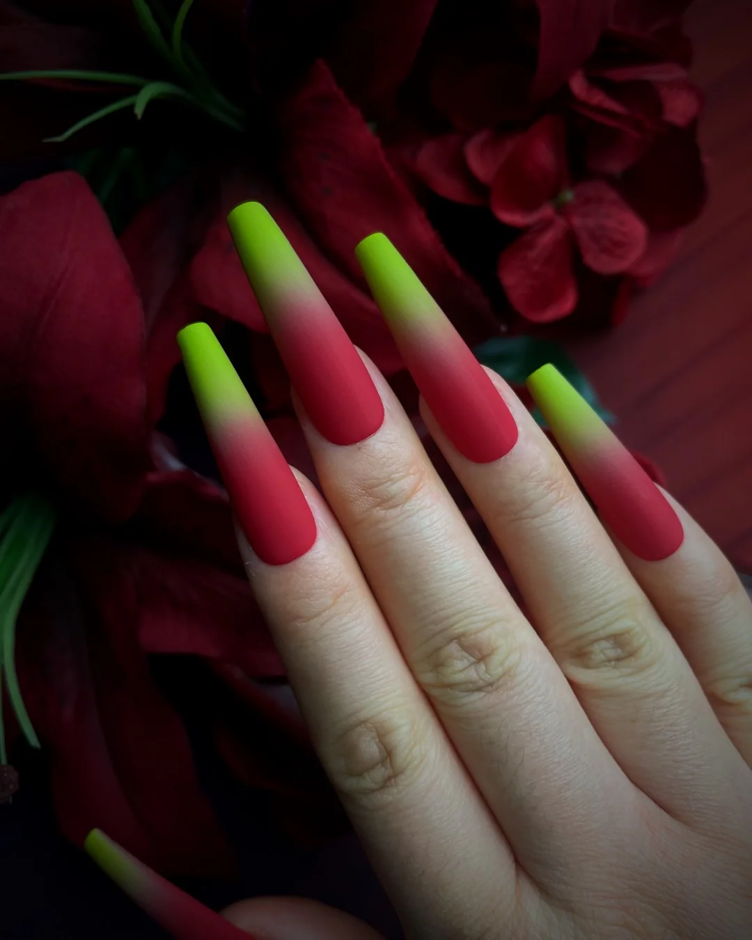 Poinsettias - Nail Gallerys