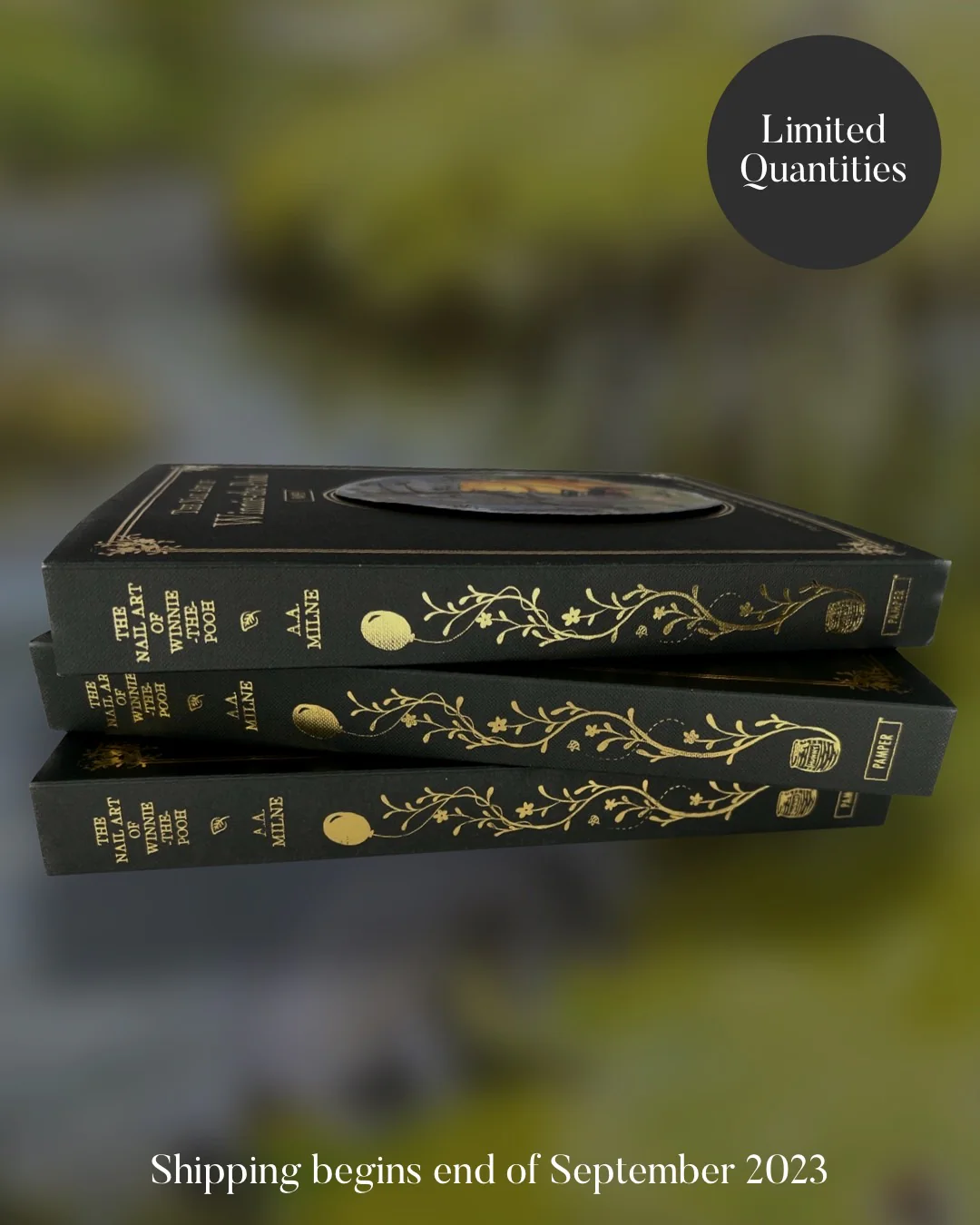 Winnie-the-Pooh Mystery Box - Nail Gallerys