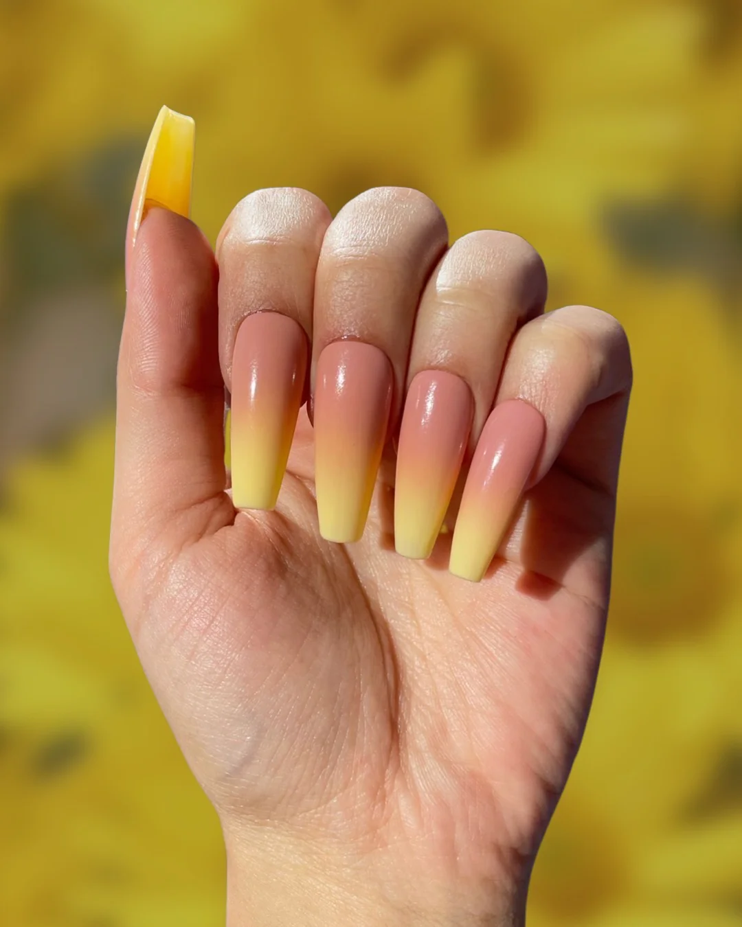 Daffodil Ombre - Nail Gallerys