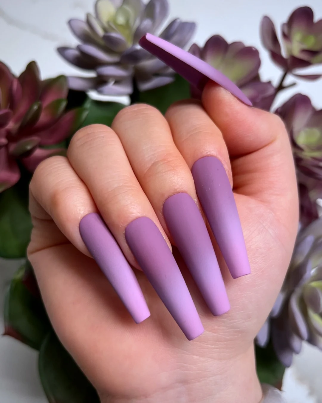 Succulent III - Nail Gallerys