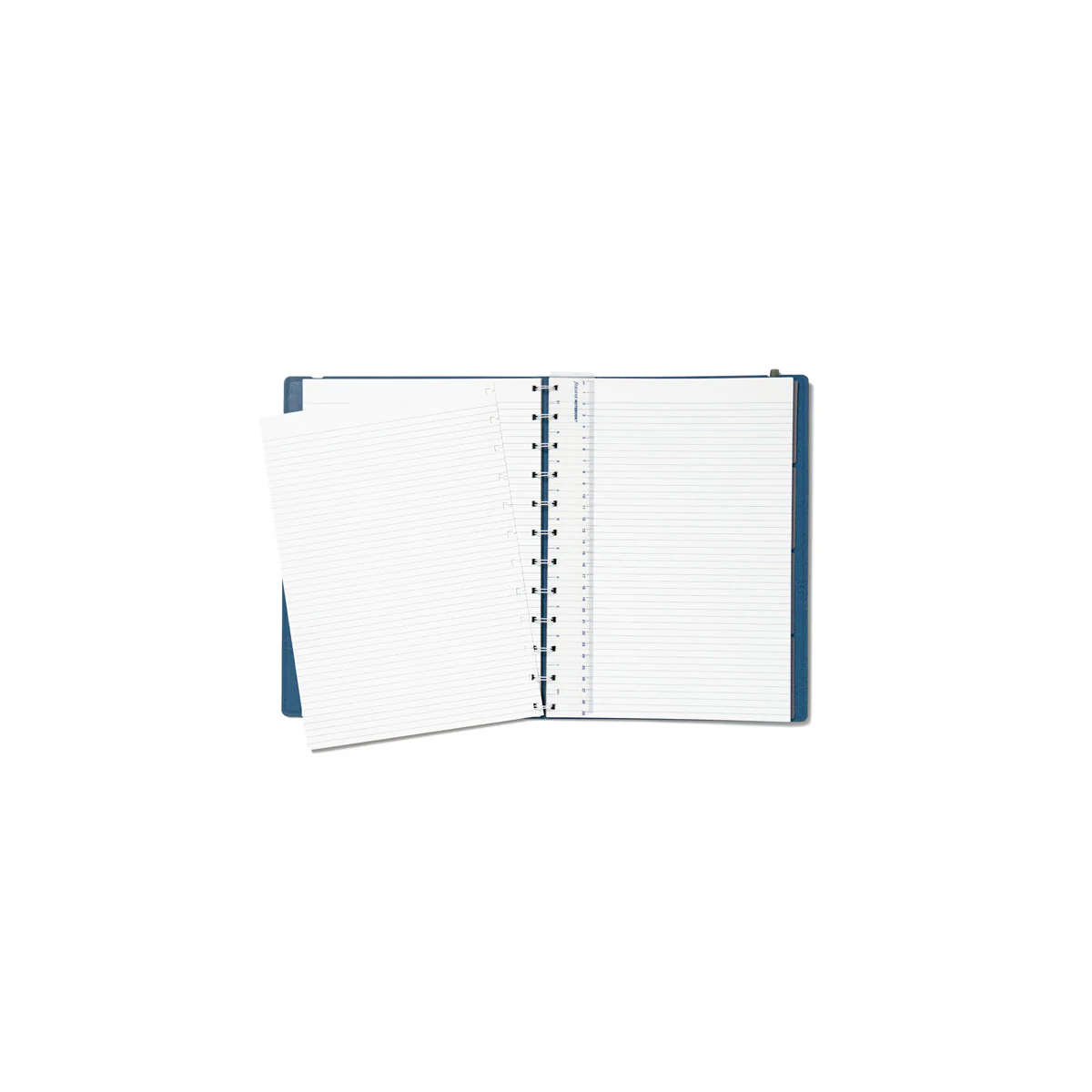 Filofax A4 Refillable Lined Notebooks - Nail Gallerys