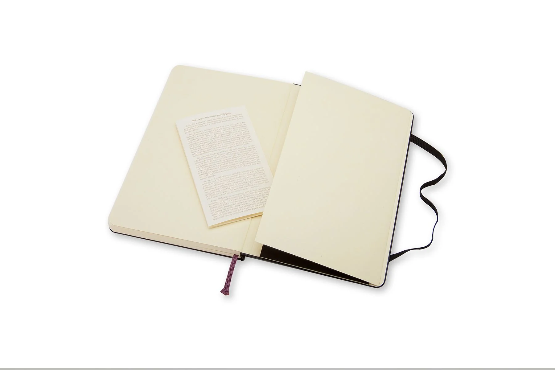 Moleskine Large Plain Hard Cover Notebooks - Nail Gallerys