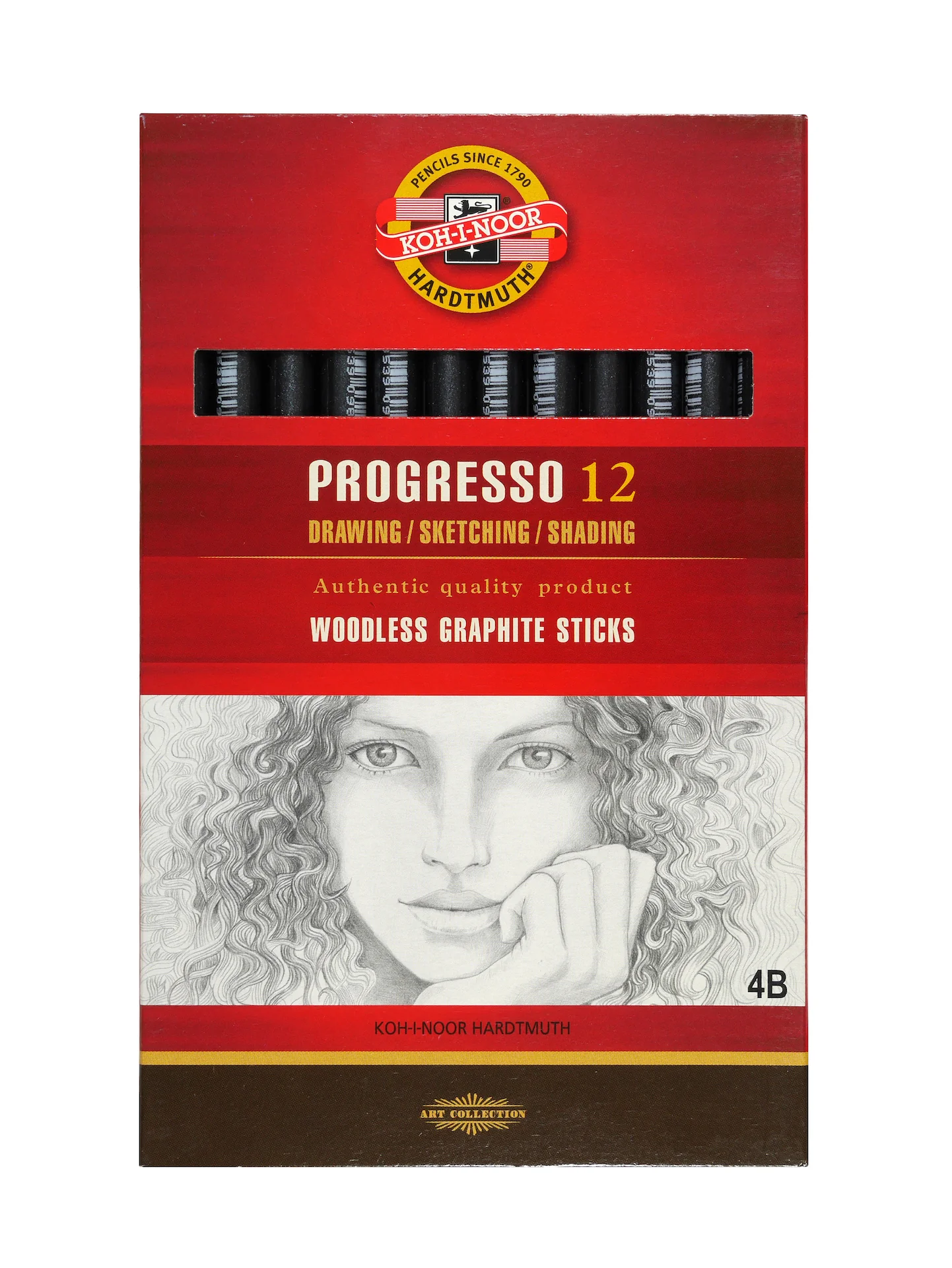 Koh-I-Noor Hardtmuth Progresso Woodless Graphite Sticks - Pack Of 12 - Nail Gallerys