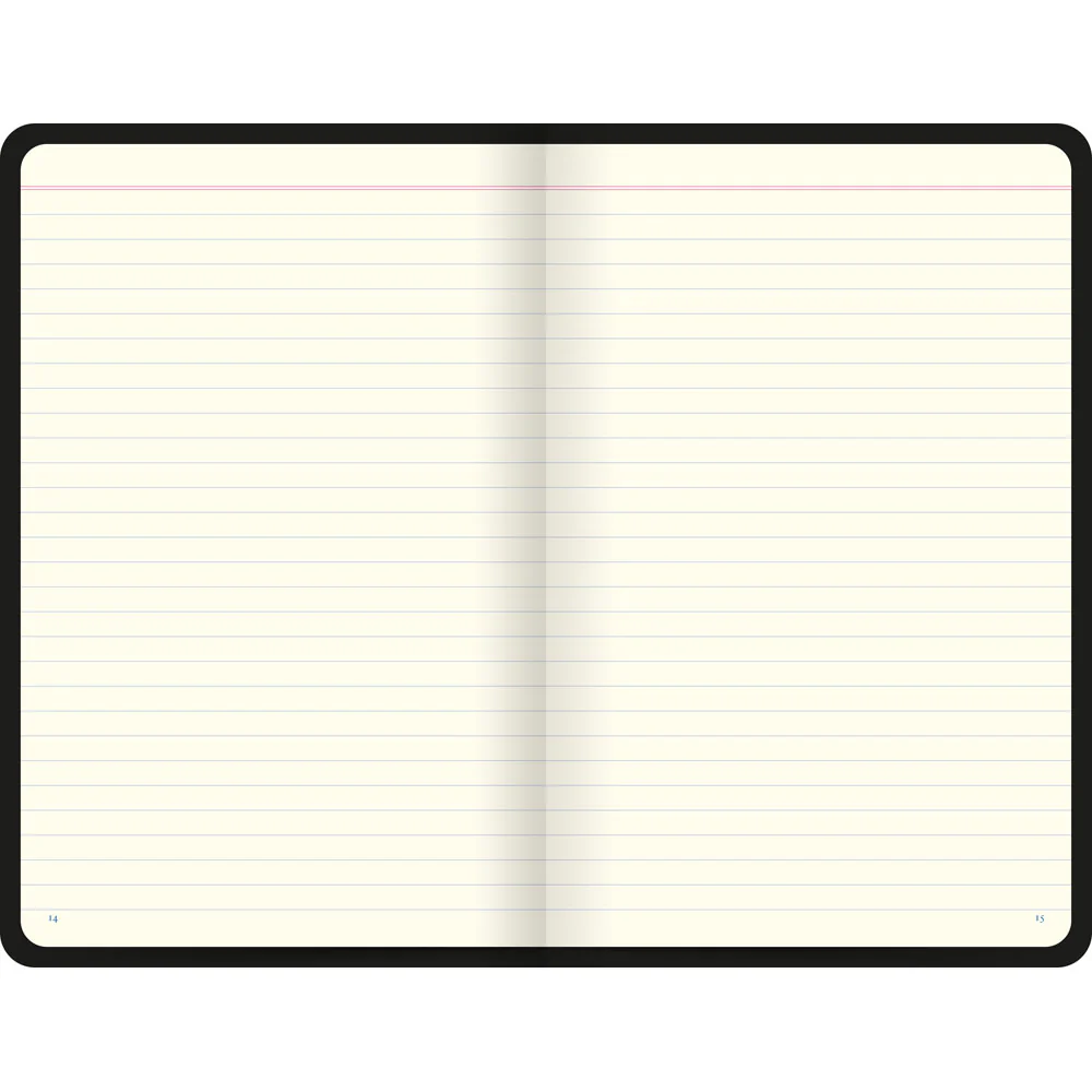 Letts Icon Ruled Notebooks - Nail Gallerys