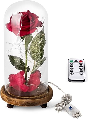 'La Belle et la Bête' Kit de Rose, Rose en Soie Rouge et Lumière LED avec Pétales tombés dans une coupole en verre sur socle en bois pour la décoration intérieure Anniversaire Mariage Fête des Mères - Nail Gallerys