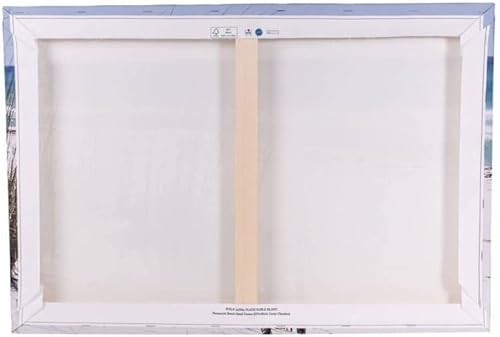 Ceanothe Tableau sur Toile Bastia Corse 30x45 cm Décoration Murale Art Décoratif Muraux Peinture Imprimée en HD Salon Chambre Bureau Bois de Forêt FSC Fabriqué en France - Nail Gallerys