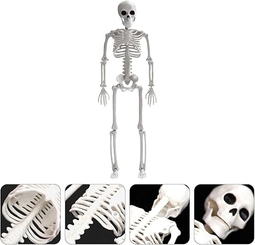 HEMOTON 1 Pc Squelette d'halloween Modèle Squelette Grandeur Nature Décoration Modèle Squelette Crâne D'os Humain Suspendu Halloween Squelette Mini Miniature Métal Blanche Accessoires - Nail Gallerys