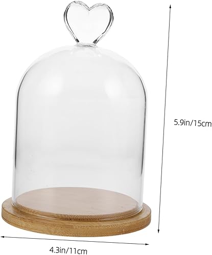 ORFOFE Cloche en Verre pour Roses Éternelles, D'affichage Transparent pour Plantes Succulentes, Petites Bougies Parfumées, Couvercle en Verre Transparent avec Base - Nail Gallerys