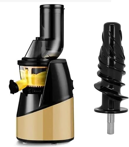 Extracteur de jus à mâcher - Embouts Slow Juicer - Vis hélice - Outil de mastication - Accessoires 8006 Slow Juicer - Nail Gallerys