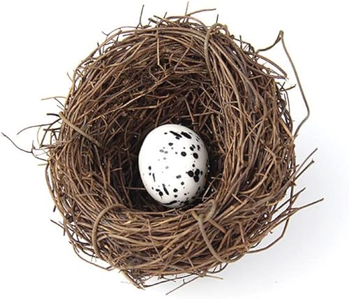 TopHomer Nid d'oiseau artificiel, faux nid d'oiseau vintage, cage à oiseaux créative pour Pâques, décoration de printemps, optique, vitrine (15 cm) - Nail Gallerys
