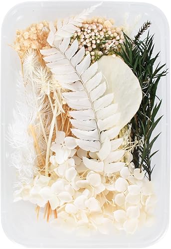 Bouquet de Fleurs Séchées Vraies Fleurs Pressées Séchées Feuilles Florales Naturelles Décoration pour Résine Epoxy Bijoux Floraux Nail Art DIY Bougie Artisanat Maquillage Scrapbooking - Nail Gallerys