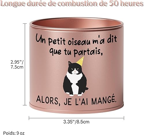 PRSTENLY Bougie Parfumée pour Retraite Femme, Cadeau Collègue de Travail, Idée Départ Humoristique pour Amie Maitresse - Nail Gallerys