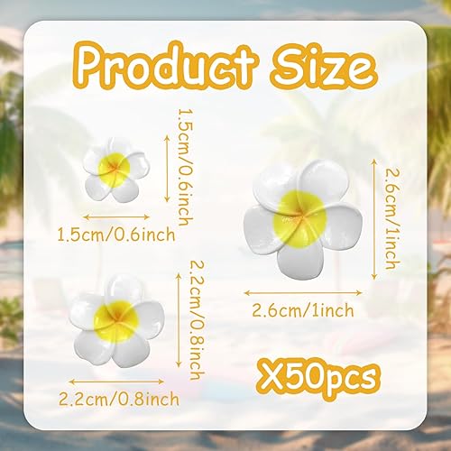 Boerni Lot de 50 fleurs de plumeria artificielles en résine blanche brillante de tailles mixtes pour loisirs créatifs, mariage, été, hawaïen, fête sur la plage, décoration d'intérieur - Nail Gallerys