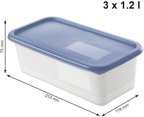 Rotho Domino Lot de 3 boîtes de congélation bleues de 1,2 l - Nail Gallerys