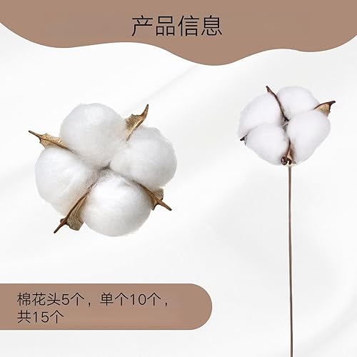 YALiya 10 pièces Fleurs de Coton Sechee Branche, 5 pièces Fleurs de Tête de Coton, Naturelle Fleurs Sechees Tige Coton Fleur, Plantes Décoration, pour Balcon Maison Table Composition Florale - Nail Gallerys