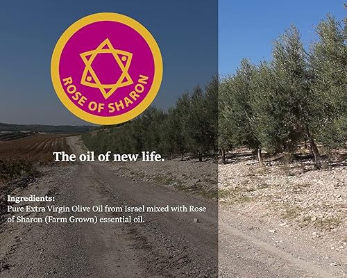 Boutique d'huile d'onction fabriquée à la main en Terre Sainte d'Israël – Ingrédients 100 % naturels, huile d'olive vierge pure, parfums de la Sainte Bible – Exercices spirituels, Cassia – 30 ml - Nail Gallerys