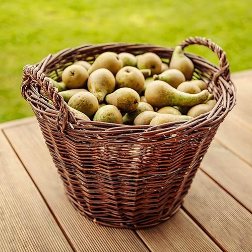 Creative Home Panier de Rangement Panier en Osier avec Poignées | Grand 45 x 30 x 37 cm (+/- 1 cm) | Marron foncé | Tissé à la Main | Panier a Bois Panier Cadeau de Cheminée | Polyvalent et Durable - Nail Gallerys