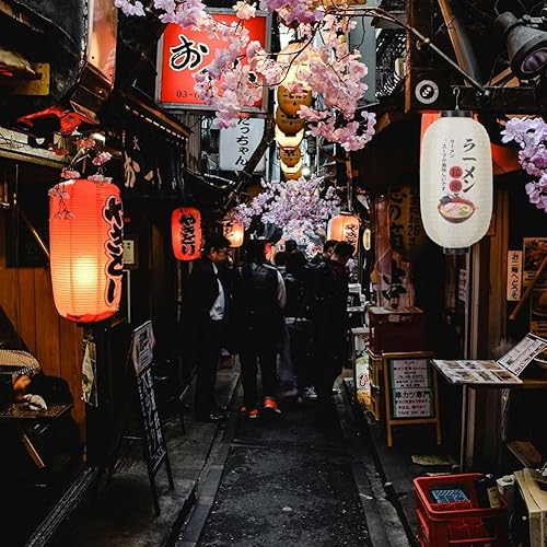 Tsffae Lanterne Japonaise Lanternes en Papier Japonaises Lanternes Suspendues Décor Japonais Extérieur Lanternes Suspendues Décoratives De Sushi en Plein Air - Nail Gallerys