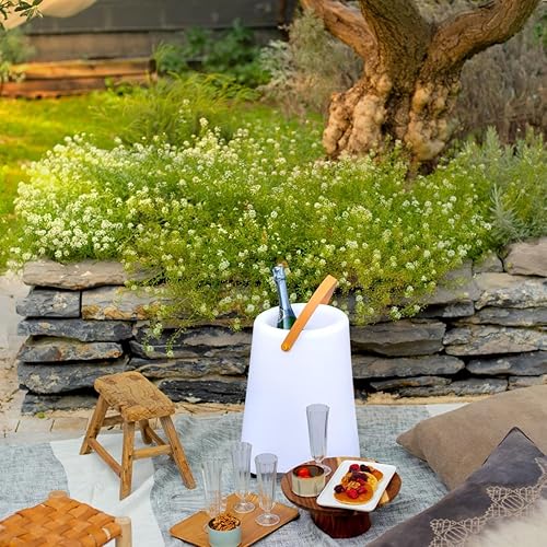 Livoo - Seau à Champagne Lumineux - 16 Couleurs changeantes, cuve étanche, 5 Modes de lumière - Nail Gallerys