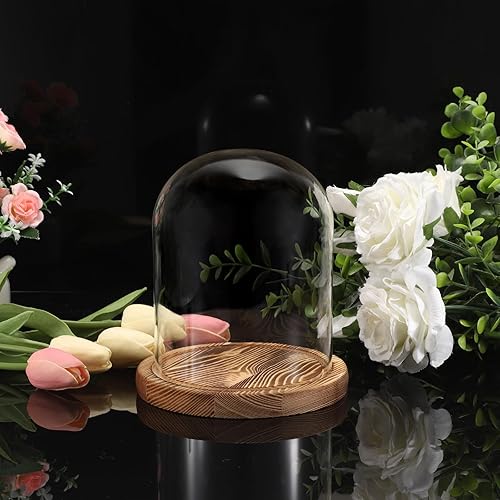 TOLIDA Dôme en verre avec socle en bois naturel - Cloche en verre décorative robuste - Pour lampes, bougies, roses, décorations antiquités pour Noël, anniversaires, Saint-Valentin - Nail Gallerys