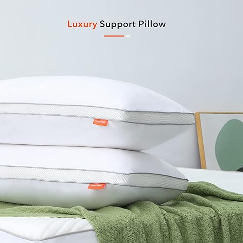 Sweetnight Oreiller 48x74 Lot de 2 Rectangulaire en Coton avec Fermeture Éclair, Oreillers Hotel Réglables en Microfibre, Oreiller 3D Côté Respirant Durable, Oreiller 1000g de Rembourrage - Nail Gallerys