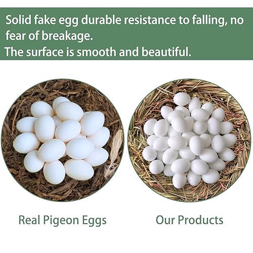 Faux œufs De Pigeon, Lot de 50 œufs de Pigeon, L'éclosion Élevage Fournitures Faux Oeufs, Plastique Solide œufs factices pour Pigeons, pour L'élevage et Bricoler et Décorer Pâques - Nail Gallerys