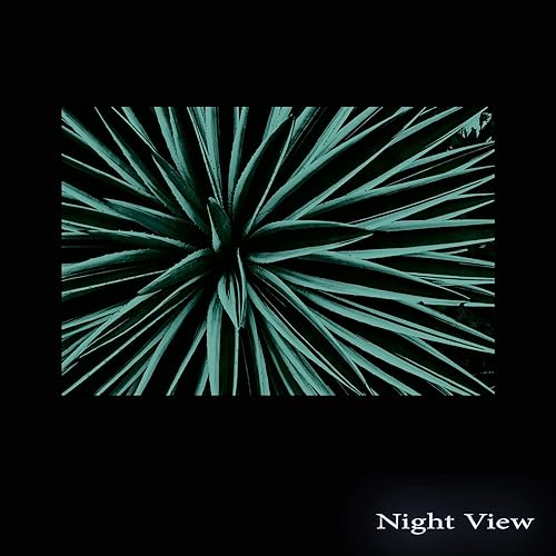 Startonight Impression sur Verre Acrylique Tableau - Coquelicots Bleus Rouges - Image Moderne 60 x 90 cm - Nail Gallerys