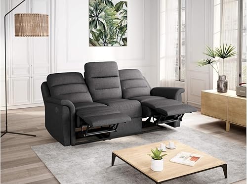 LOUNGITUDE - Canapé de Relaxation Manuel 3 Places en Tissu - Gris foncé - Nail Gallerys