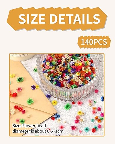 KGDUYC 140 fleurs séchées, marguerites, vraies petites fleurs séchées pour l'artisanat en résine, mini fleurs naturelles pour les ongles, l'époxy, les bougies, le scrapbooking... - Nail Gallerys