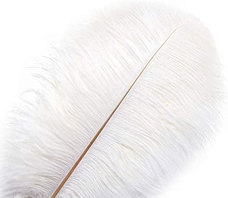 10 Pièces Plumes D'autruche Naturelles Plume 16-18 Pouces (40-45 cm) Pour Centres de Mariage Décoration de la Maison (40-45cm,Blanc) - Nail Gallerys