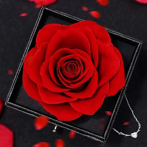 Rose Eternelle Cadeau Saint Valentin Femme,Fleur de Rose Conservée à la Main,Fleur Préservées Boîte Bijoux pour Anniversaire Fete des Meres Petite Amie Mariage Maison Déco - Nail Gallerys