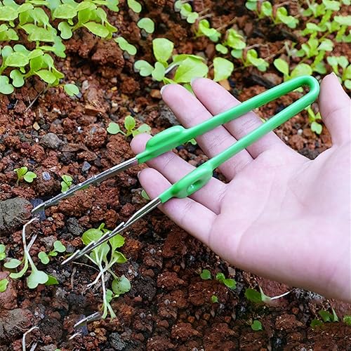 Pince À Épiler Pour Succulentes - Pincettes De Pointe Dentelées Courbées, Outil De Soins Succulents Horticole, Pinces De Désherbage De Jardin À Domicile Multifonctionnelles Pour Jardin - Nail Gallerys