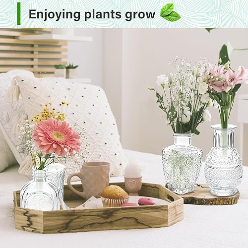 Mini Vases en Verre 12 pièces Petit Vase en Verre Vintage Ensemble Petit Vase Déco Parfait pour Mariages Anniversaires fêtes et Décoration de Salon - Nail Gallerys