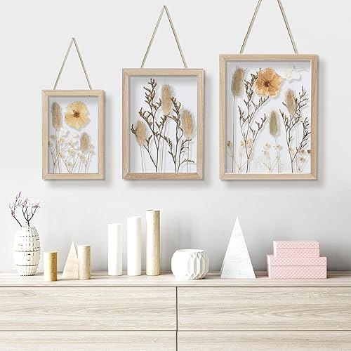 Décoration murale Boho Style - Lot de 3 cadres en bois avec fleurs séchées et herbe pressées - Double verre - Cadre photo à suspendre pour toute l'année - 16 x 11 cm, 19 x 14 cm, 22 x 17 cm - Nail Gallerys