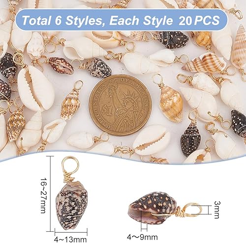 PH PandaHall 120pcs Breloques en Coquillage 6 Styles Coquillages en Spirale Breloques Artisanales Cauris Pendentif Coquillages Naturels Breloque Coquilles de Conque pour Fabrication de Bijoux de D'Été - Nail Gallerys