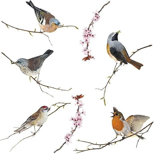 Sticker Fenêtre, 31cm x 31cm, Oiseaux - Nail Gallerys