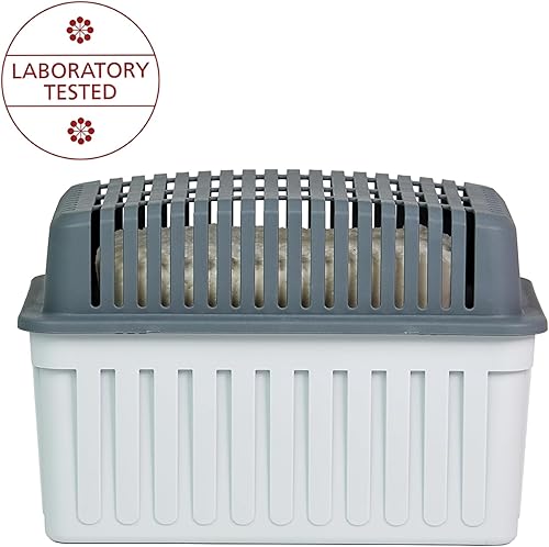 WENKO Déshumidificateur chimique | Absorbeur d'humidité 1 kg avec recharge 4 pièces | Réduit l'humidité dans la maison et voiture | Idéal pour le garage | Couleur gris | Pratique et efficace - Nail Gallerys