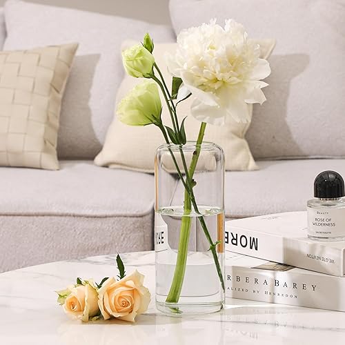 Transparent en Verre pour Fleurs, Vase Cylindrique en Verre Transparent pour Décoration, Vase à Fleurs Élégant pour Salon, Mariage, Bureau et Centre de Table,pour Bouquet et Arrangement Floral (17cm) - Nail Gallerys