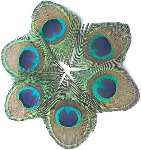 MWOOT 20 Pièces Plumes de Paon Naturelles, Plumes Decoratives pour Artisanat Bricolage, Plumes Vertes pour DIY Carnaval Fête Costume de Mascarade Accessoires de Cheveux Vintage Décoration - Nail Gallerys