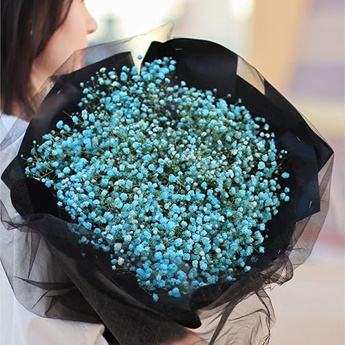 Babys-Breath-Bouque de fleurs séchées - 43,7 cm - Plus de 2 000 fleurs blanches ivoire - Branches de gypsophile naturelles pour mariage, décoration de vase de table, couronne florale à faire soi-même, - Nail Gallerys