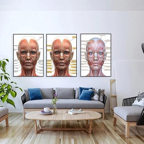 Lot de 3 toiles Affiche Muscles du visage Anatomie Spa médical Chirurgie plastique Spa Infirmière Seringue Décor Esthéticienne Impression Murale Art Chambre Cadeau Salon Dortoir Galerie Couloir Décora - Nail Gallerys