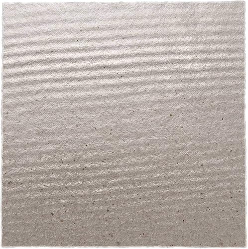 Oikabio 2 * Remplacement 12 x 12cm Mica Plaques pour Four a Mini-Ondes - Nail Gallerys