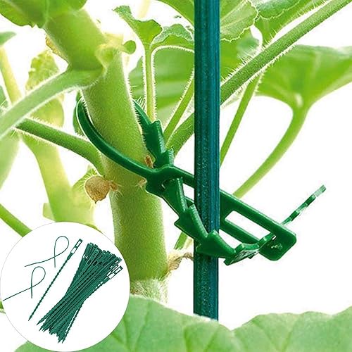 Lot de 50 Attaches de Jardin pour grimpantes | Cravates pour grimpantes | Lot de 50 Attaches de Jardin, Attaches de Treillis, Attaches de Support pour - Nail Gallerys