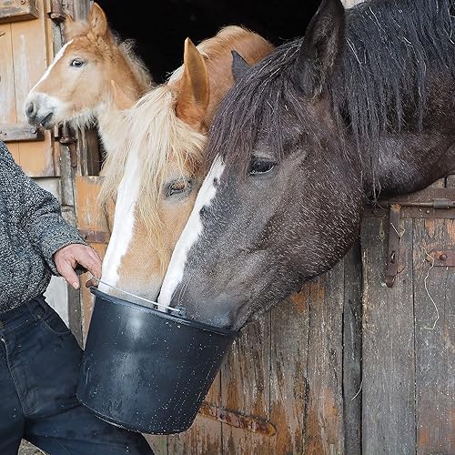 BAUSTER® Lot de 4 seaux de construction en plastique de 12 l - Seau à ciment - Seau à mortier - Seau de jardin - Idéal pour les travaux de rénovation et de construction - Seau en plastique - Noir - Nail Gallerys