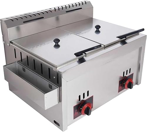 DJXLMN Friteuse à gaz commerciale en acier inoxydable pour frites – Friteuse à double comptoir GPL avec paniers amovibles, puissance de feu réglable, parfaite pour les restaurants et les cuisines à - Nail Gallerys