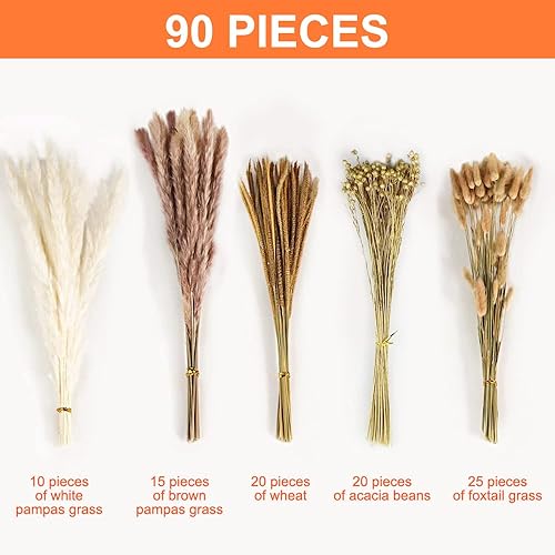 Gvolatee 90pcs Pampa Séchées Naturelle Décoration, Fleurs Séchées, Bouquet Séché d'herbe de Pampa de, Décoration de Vases de Fleurs Séchées pour Boho Mariage, Chambre, Anniversaire - Nail Gallerys