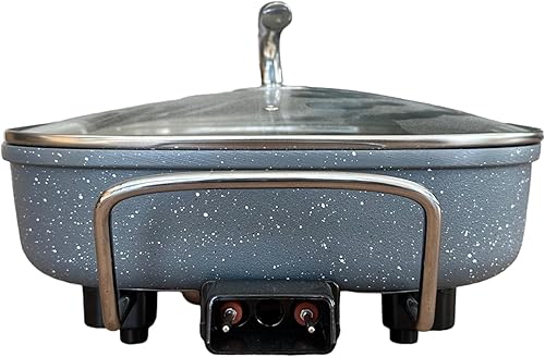METTMANN ELECTRONICS Poêle marmite électrique avec couvercle - PIZZAPAN - 1500 Watts, Revêtement Anti-Adhésif, 6 litres - Nail Gallerys