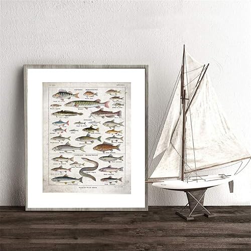 Danjiao Poissons D'Eau Douce Vintage Affiche Version Française Poisson Bureau Mur Art Photo Toile Peinture Impressions France Maison Décoration Murale Décor Du Salon 40x60cm - Nail Gallerys