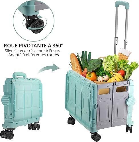 COLFULINE Chariot de Courses Pliable 50kg Chariot de Rangement Pliable à roulettes avec Poignée Télescopique 4 Roues de Rotation 360° Boîte de Rangement pour Voyage, Shopping, Déménagement - Nail Gallerys